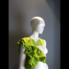 Decorative collar
