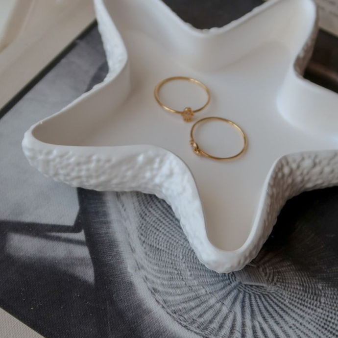 Plaster starfish