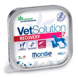 VETSOLUTION RECOVERY DOG