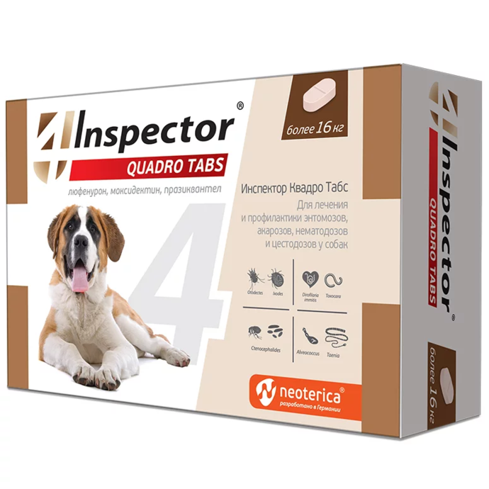 INSPECTOR QUADRO TABS
