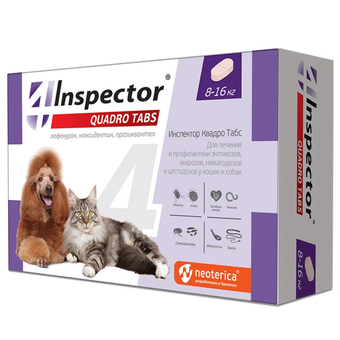 INSPECTOR QUADRO TABS